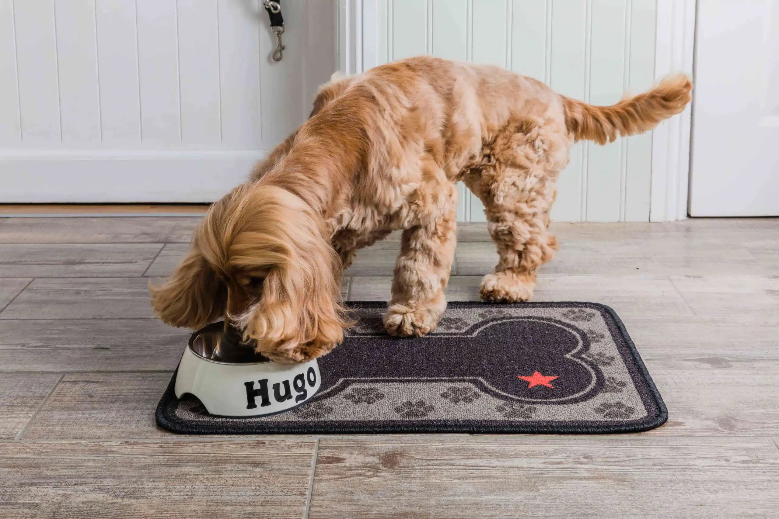 Absorbent Dinner mate Little Paws