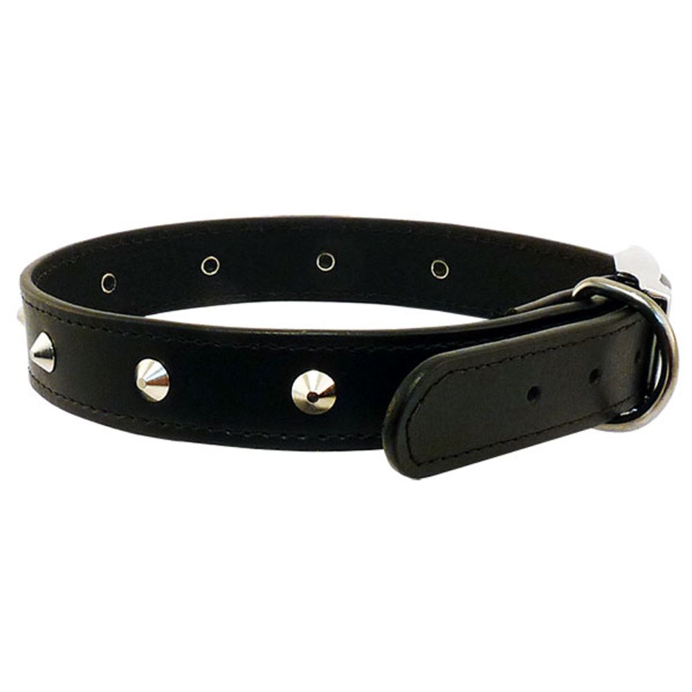 Black Leather and Studded Dog Collar