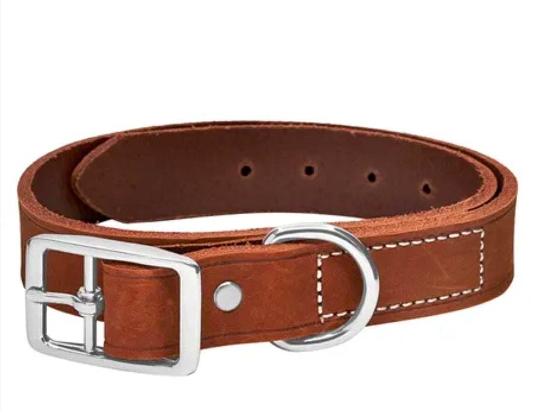 Tan Sewn Bridle Leather Dog Collar