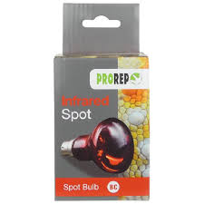 ProRep Infrared Spot Bulb (40W)