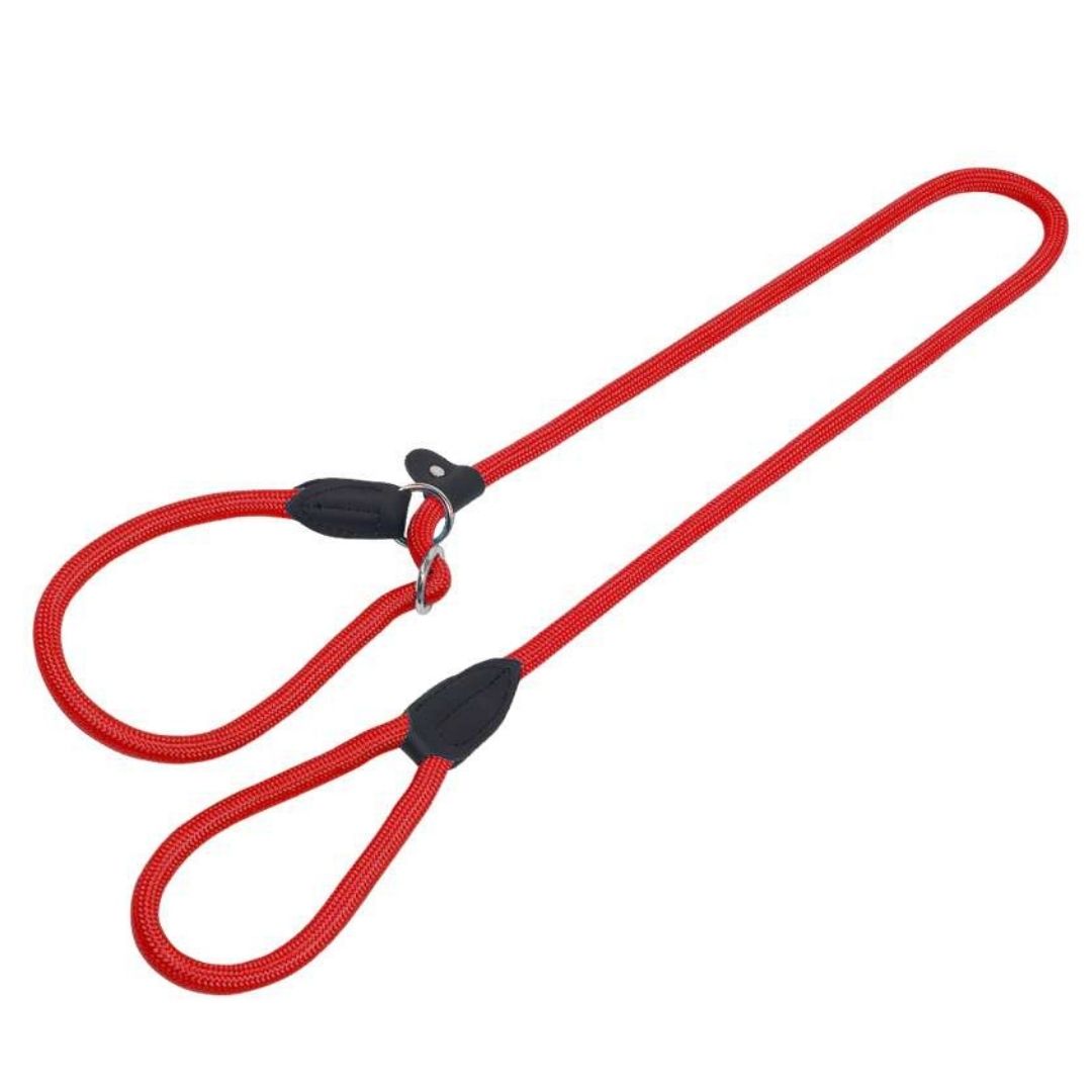 Slip Dog Leads