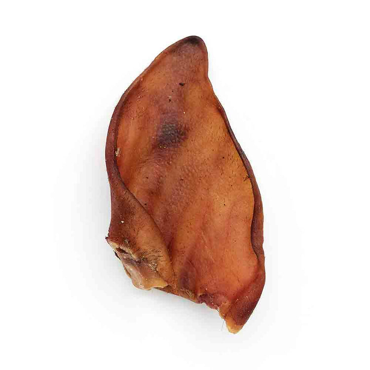 Pigs Ear Treat for Dogs