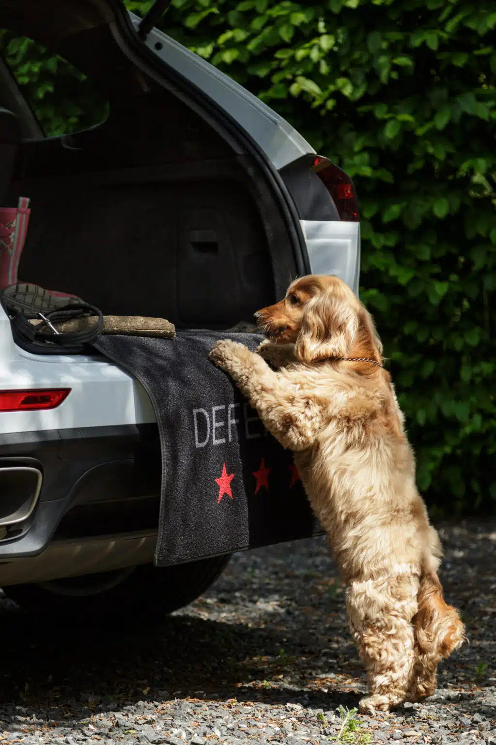 Absorb muddy paws car protectiom Defender