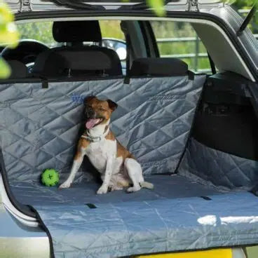 Henry Wag Boot & Bumper