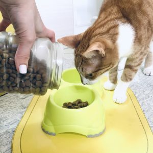 Cat Bowls & Mats