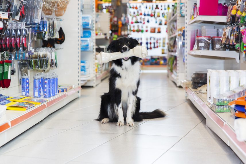 Pet Store Limerick