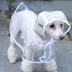 Rain Dog Coats